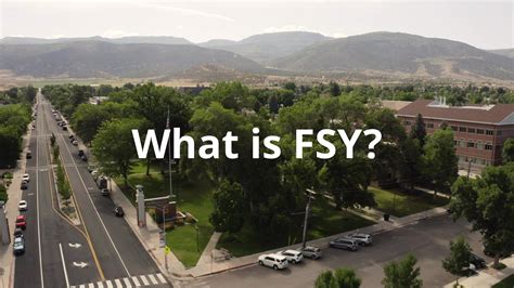 pre fsy activity|lds fsy faq.